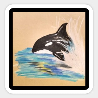 Killer whale Sticker